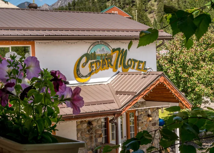 4 star hotel: Cedar Motel